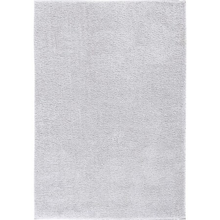 Safavieh 5 x 7 ft. Tahoe Shag Contemporary Rectangle Area Rug, Light Grey THO670F-5